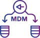 Master Data Management (MDM)